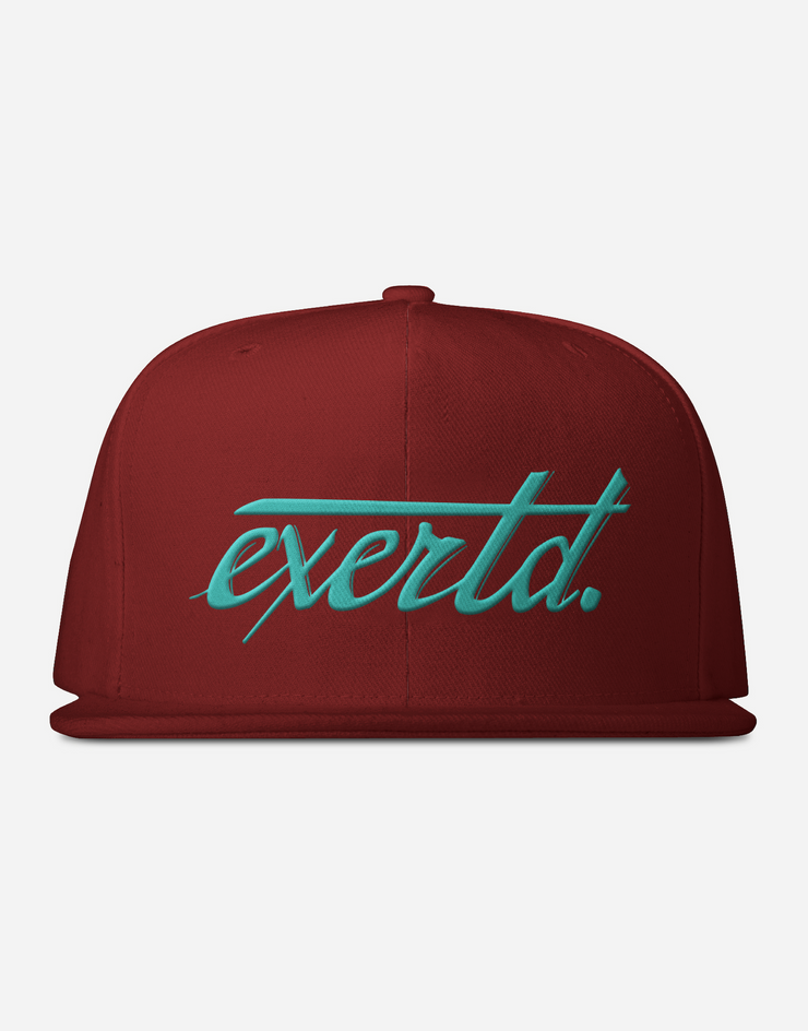 Stand Out exertd Snapback